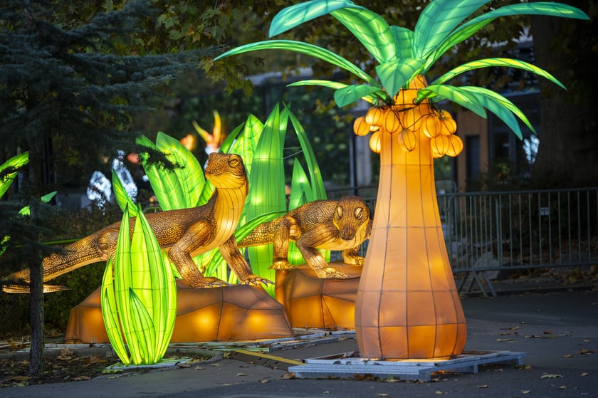 Wystawa Garden of Lights: Dzika Azja we wrocławskim zoo, październik 2024